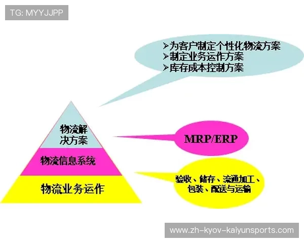 高效的居家力量训练计划